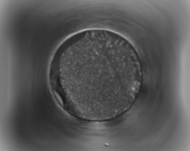 X0000088431527200706121441