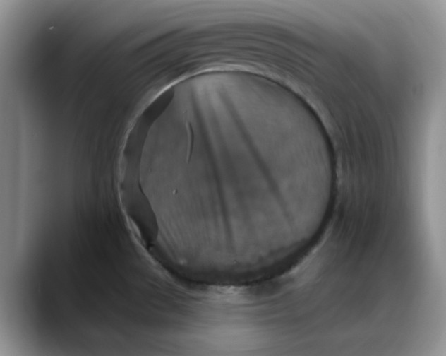 X0000088431529200706121441