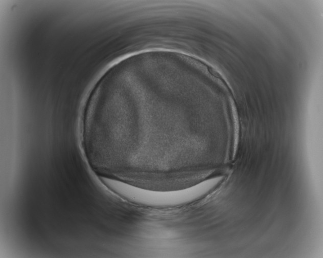 X0000088431531200706121441