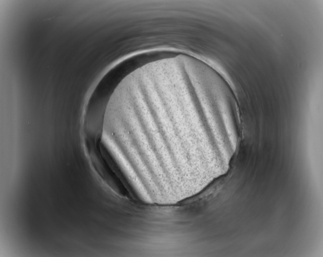 X0000088431532200706121441