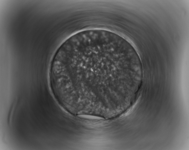 X0000088431533200706121441