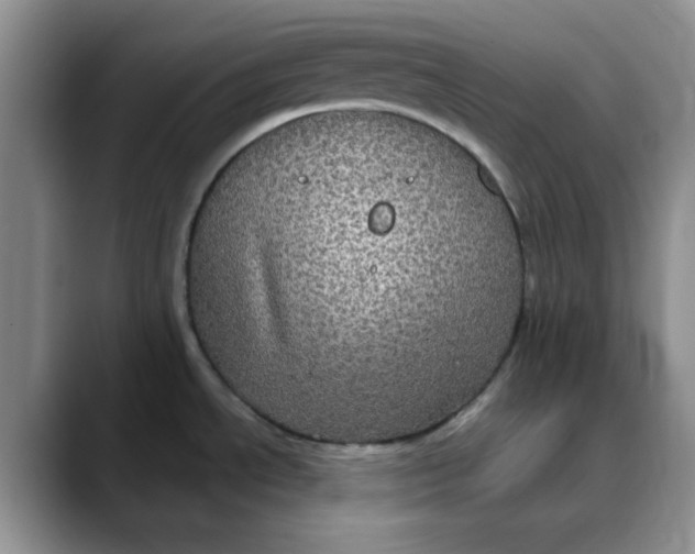 X0000088431534200706121441