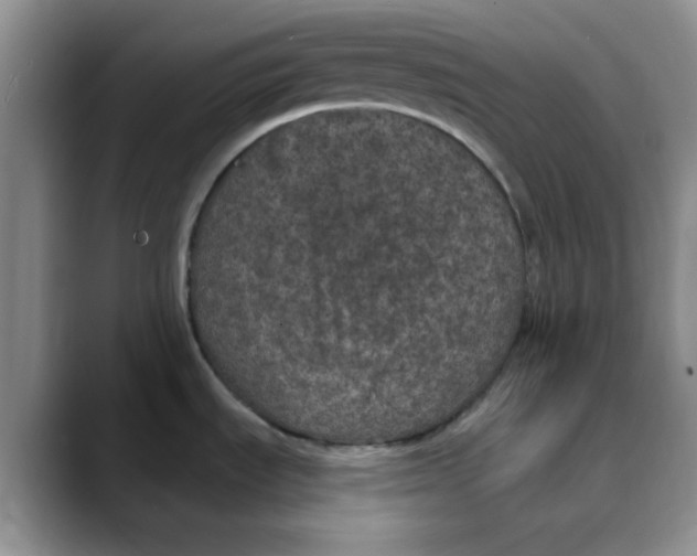 X0000088431535200706121441