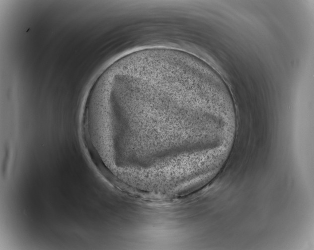 X0000088431536200706121441