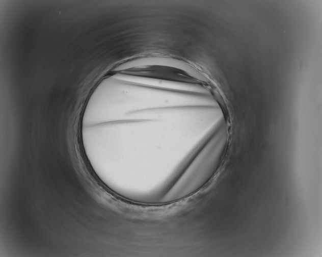 X0000088430001200706191243