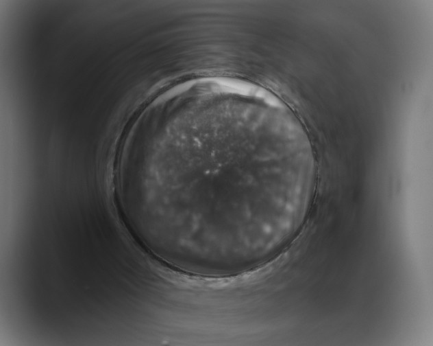 X0000088430002200706191243