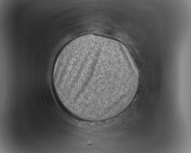 X0000088430003200706191243