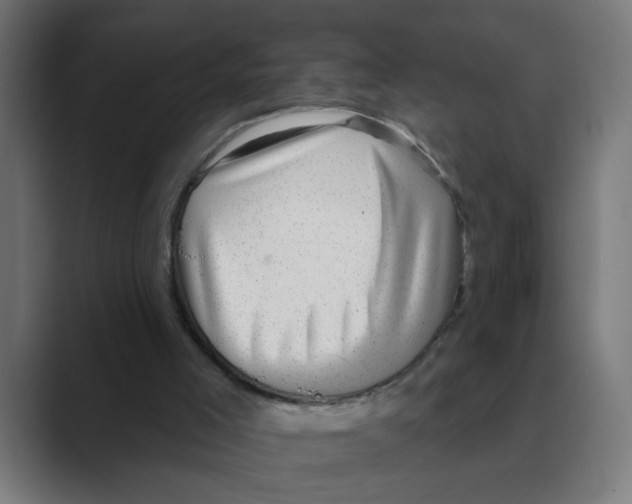 X0000088430005200706191243