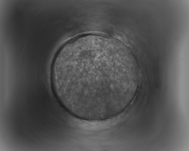 X0000088430006200706191243