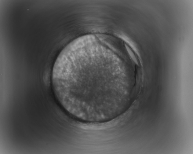 X0000088430009200706191243