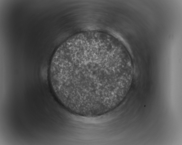 X0000088430010200706191243