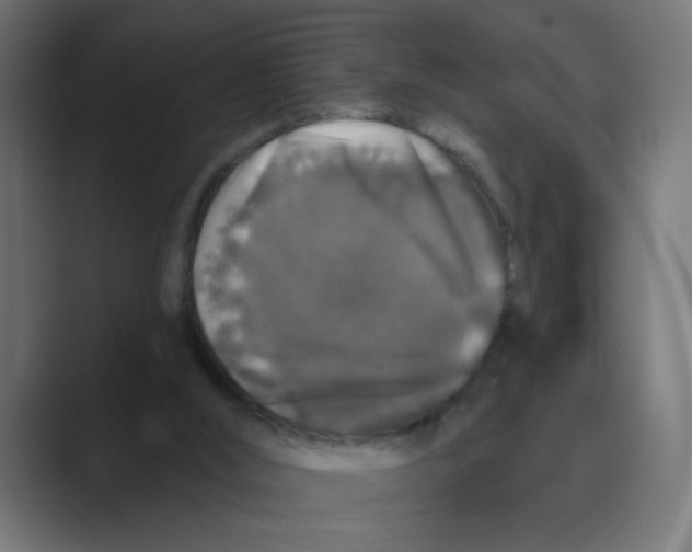 X0000088430012200706191243