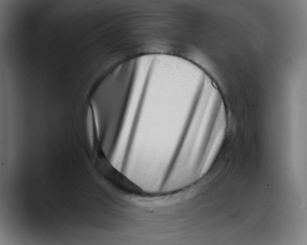 X0000088430013200706191243