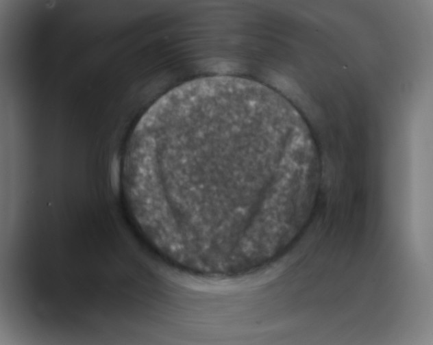 X0000088430014200706191243