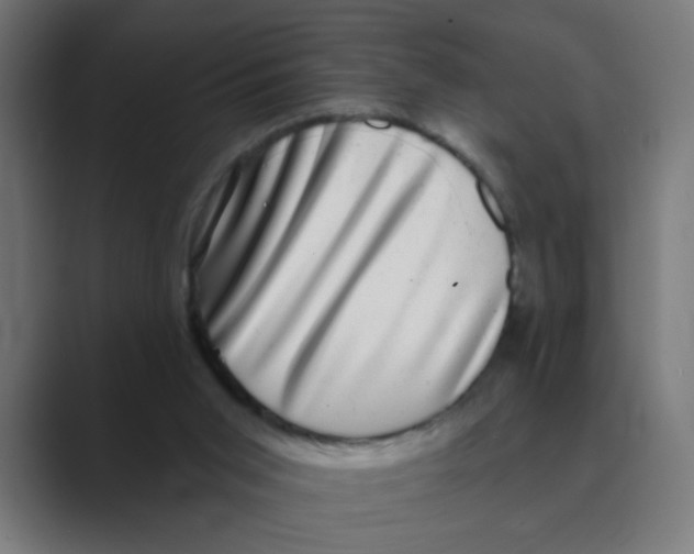 X0000088430015200706191243