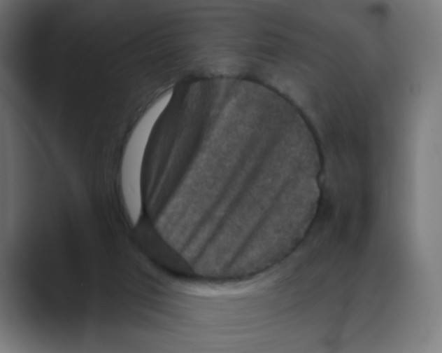 X0000088430017200706191243