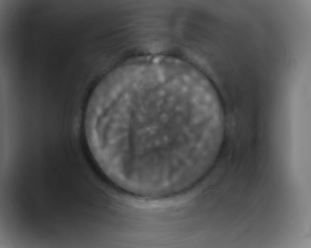 X0000088430018200706191243