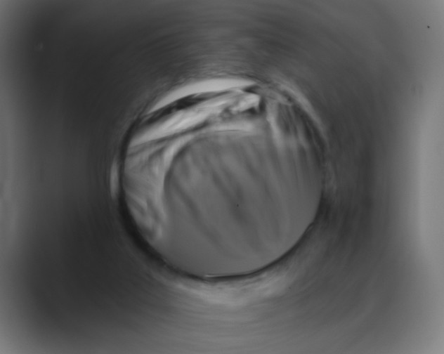 X0000088430019200706191243