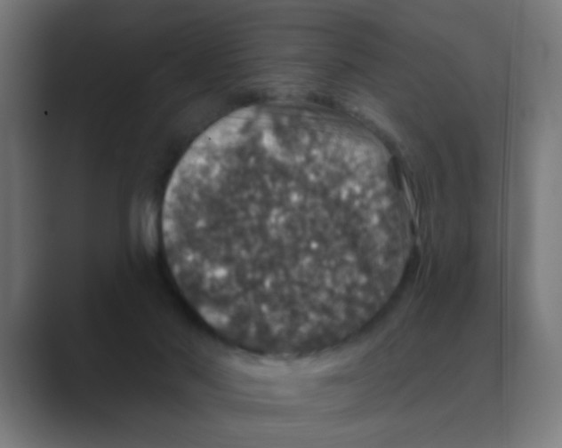 X0000088430022200706191243