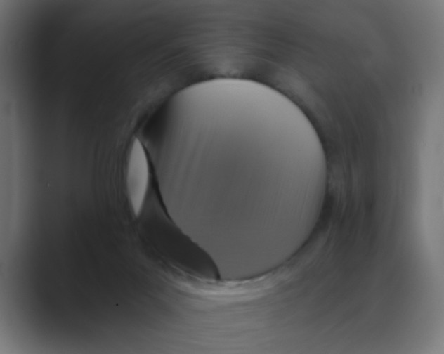 X0000088430023200706191243