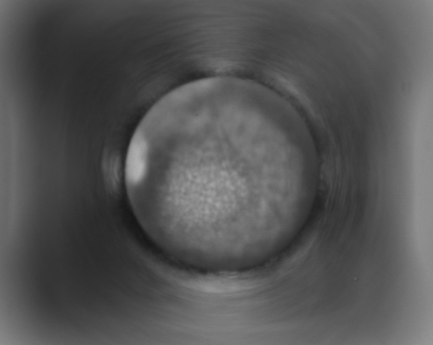X0000088430024200706191243