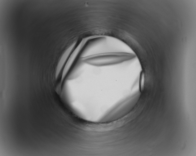 X0000088430025200706191243