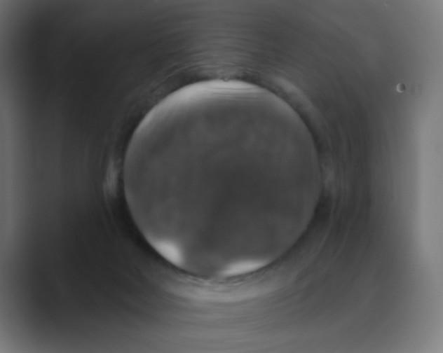 X0000088430026200706191243