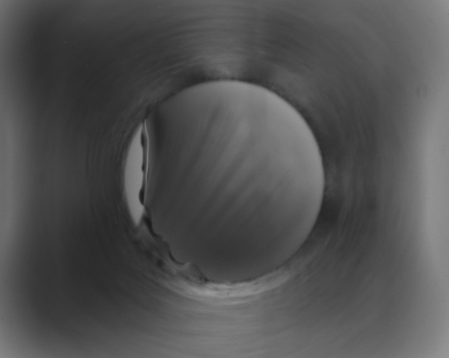 X0000088430027200706191243