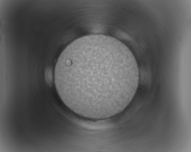 X0000088430028200706191243