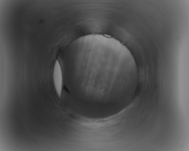X0000088430029200706191243