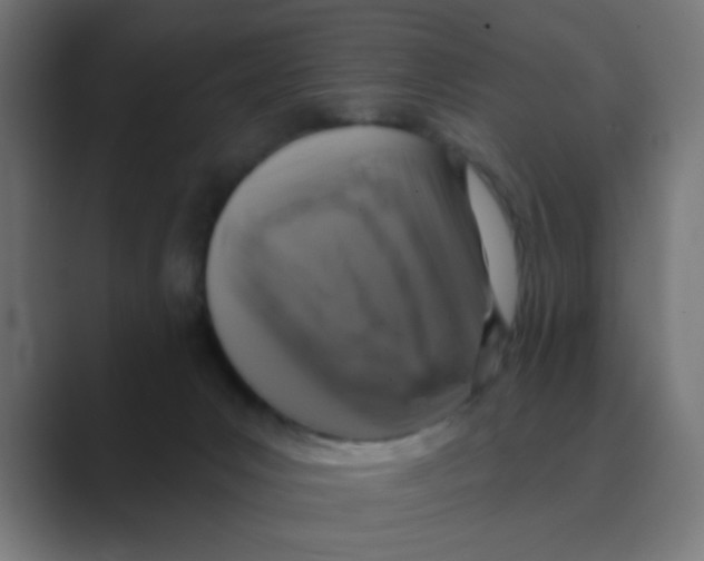 X0000088430031200706191243