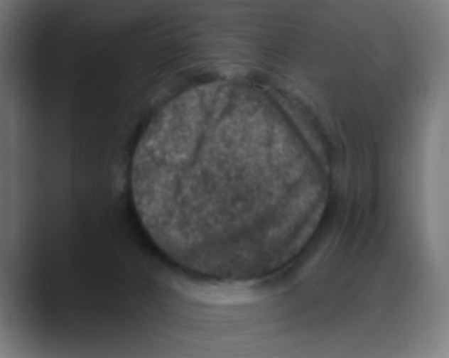 X0000088430032200706191242