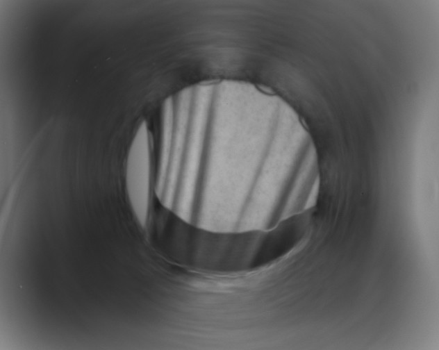 X0000088430033200706191242