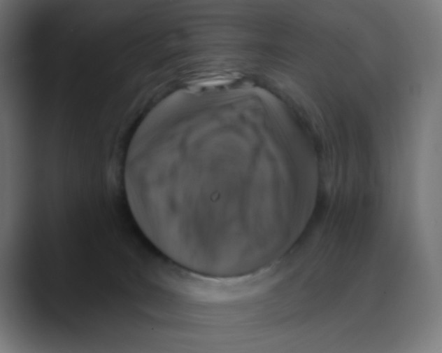 X0000088430035200706191242
