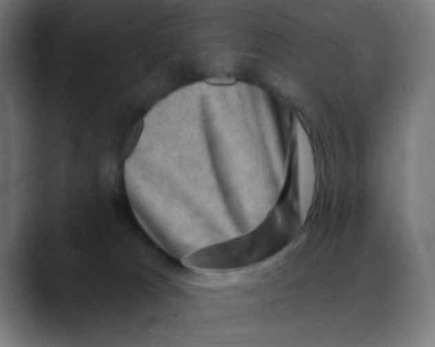 X0000088430037200706191242