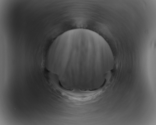 X0000088430039200706191242