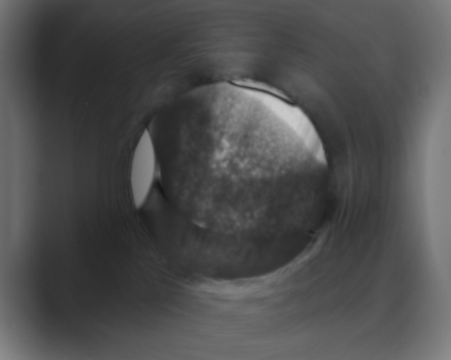 X0000088430041200706191242