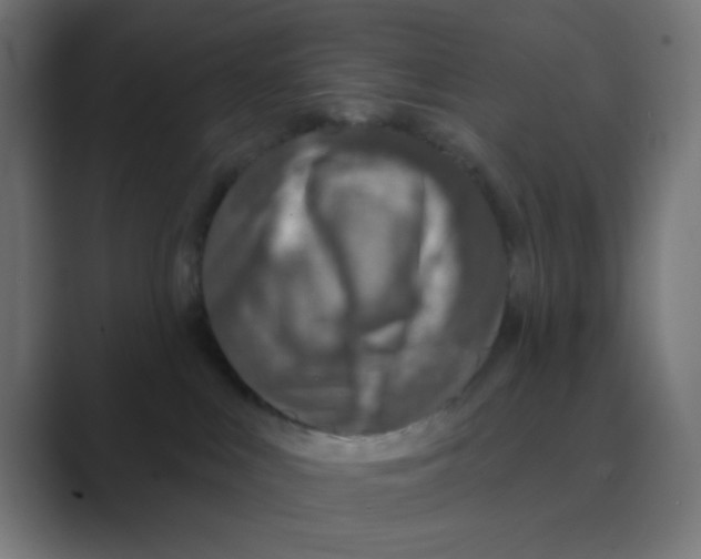 X0000088430043200706191242