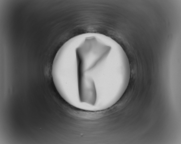 X0000088430044200706191242