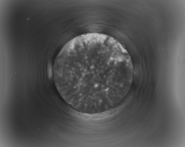 X0000088430046200706191242
