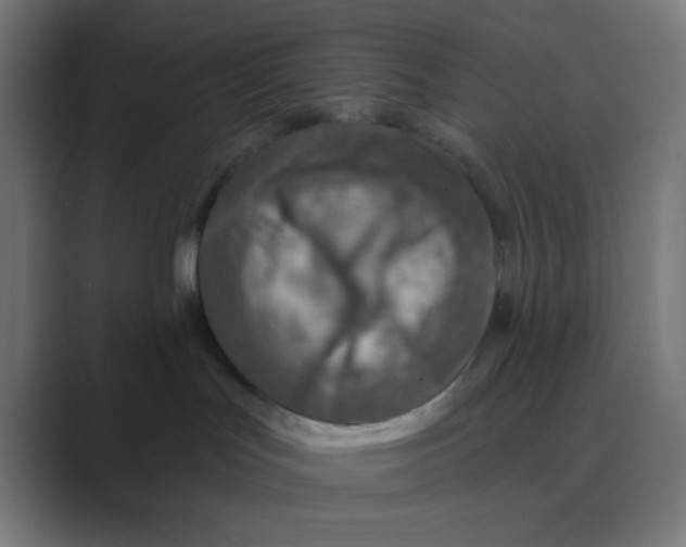 X0000088430047200706191242