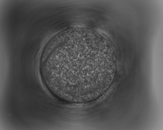 X0000088430049200706191242