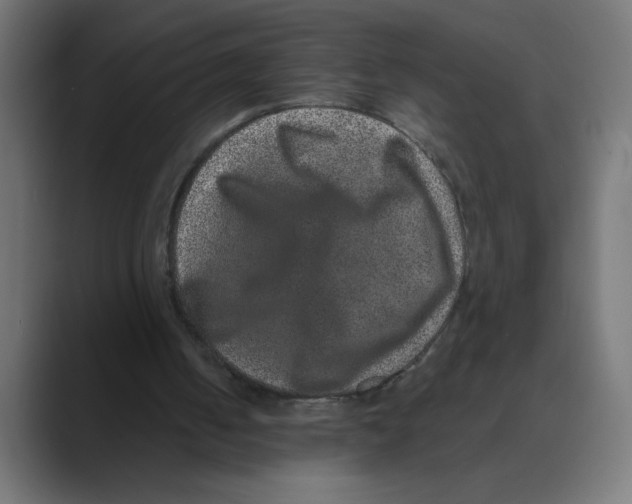 X0000088430050200706191242