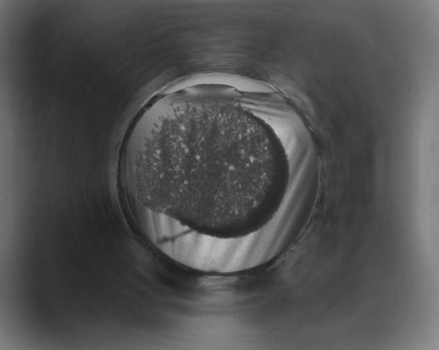 X0000088430051200706191242