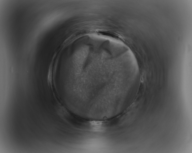 X0000088430052200706191242