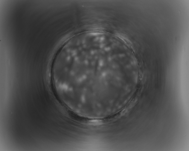 X0000088430053200706191242