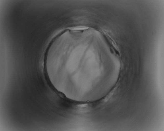 X0000088430054200706191242