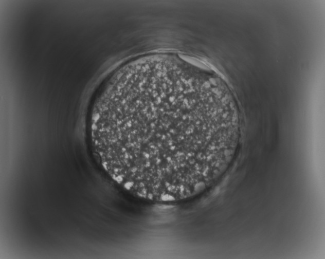 X0000088430055200706191242