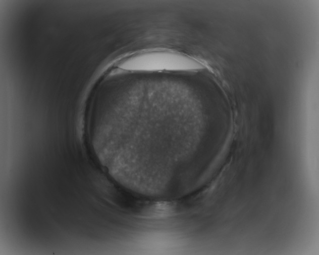 X0000088430056200706191242