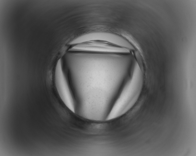 X0000088430057200706191242
